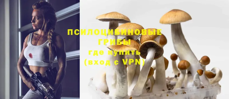 Галлюциногенные грибы Magic Shrooms  цены   Нижняя Тура 